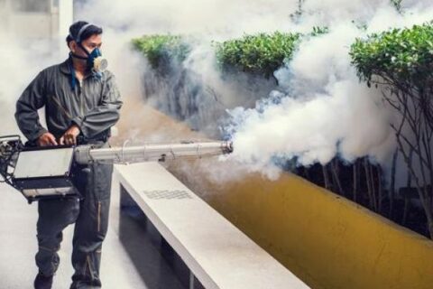 Januari 21 Orang Terjangkit, Dinkes Makassar Minta Warga Waspadai DBD