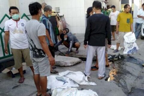 Kelurahan Bara-Baraya Timur Bekerja Sama P2AP Bersih-bersih Lingkungan