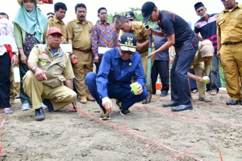 Gubernur Nurdin Launching Dua Varietas Jagung Baru Asal Sulsel