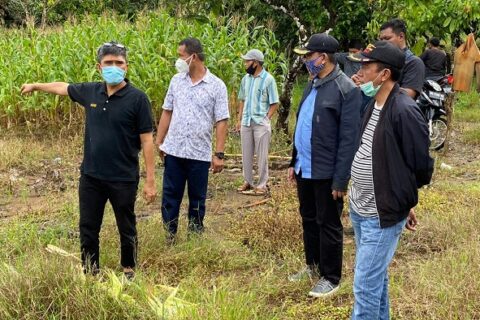 Legislator PAN Elfrianto dan Bupati Wajo Pantau Lokasi Banjir