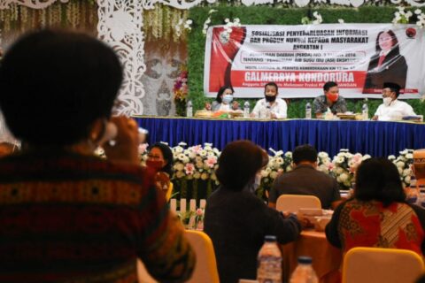 Sosialisasi Perda ASI, Galmerrya Tekankan Pentingnya Nutrisi Awal bagi Bayi
