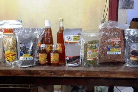 Bantu Gerakkan Ekonomi, Menteri Imbau Masyarakat Indonesia Beli Produk Teman