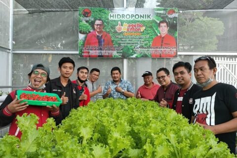 Dukung Ketahanan Pangan, Muammar Muhayang Bagi-bagi Sayuran Hidroponik