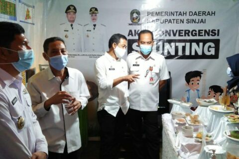 Atasi Stunting, Pemkab Sinjai Luncurkan Inovasi MADECENG