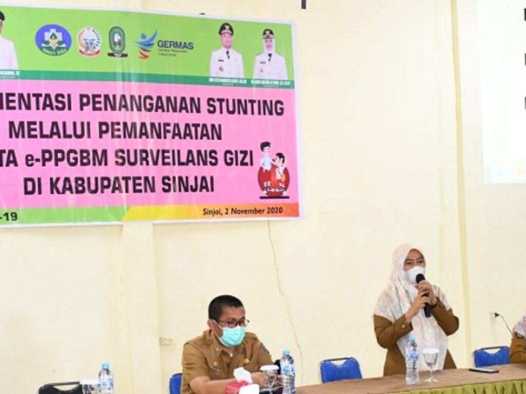 Dinkes Sinjai Hadirkan 2 Narasumber dari Provinsi dalam Pertemuan Penanganan Stunting