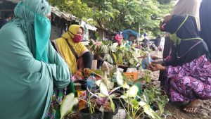 Awalnya Gemar Koleksi Tanaman Hias, Kini Mariana Bisa Penuhi Kebutuhan Keluarga di Masa Pandemi
