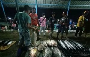 Target PAD Retribusi Hasil Tangkap Ikan di TPI Lappa Rp750 Juta