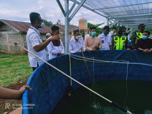 Bupati ASA Panen Perdana Budidaya Ikan di Ponpes Darul Istiqamah Lappae