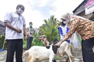 Desa Lantang Tallang Terima 46 Ekor Kambing Program Family Farming