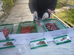Pastikan Pangan Aman untuk Masyarakat, Diskepan Enrekang Kunjungi Pasar Kabere