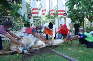 Taat Protokol Kesehatan, Golkar Sulsel Door to Door Bagi Hewan Kurban