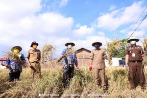 KTNA Sulsel Apresiasi Perhatian Ilham Azikin Terhadap Petani Bantaeng