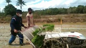 Tanam Padi Pakai Mesin Rice Transplenter, Bupati MB Semangati Petani Milenial