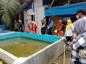 Dinas Perikanan dan Pertanian Pemkot Makassar Kunjungi Inovasi Getar Dilan dan Pojok Bisa