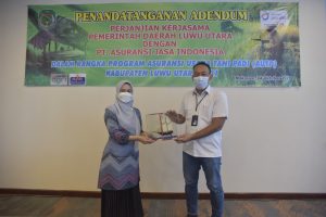 Di Luwu Utara, 7.000 Hektar Lahan Pertanian Dilindungi Asuransi Usaha Tani Padi