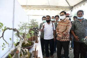 Pesona Bonsai Bumi Lamaranginang Layak Bersaing di Tingkat Nasional