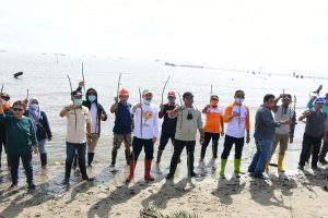 Lestarikan Wilayah Pesisir, Pemkot Palopo Tanam 40 Ribu Mangrove