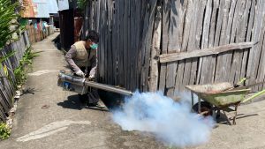 54 Kasus DBD Sepanjang Januari, Begini Upaya Dinkes Bantaeng