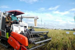 Ekonomi Sulsel Tumbuh, Gubernur : Alhamdulillah, Sektor Pertanian Berperan Besar