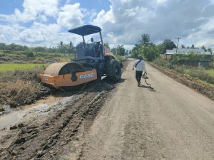 Ambil Alih Perbaikan Jalan Provinsi, Guru Besar Unhas Peringati Bupati Wajo