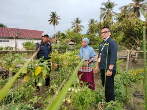 Maksimalkan Program READSI, Kementan Fokus SL Pemanfaatan Lahan Pekarangan di Luwu Utara