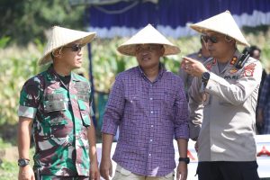 Tingkatkan Ekonomi Masyarakat, 1.300 Bibit Kelapa Ditanam di Gantarangkeke