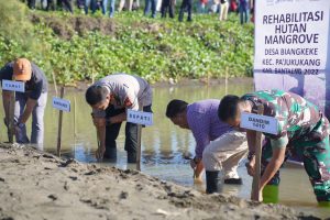 Hari Lingkungan Hidup Sedunia, Sungai Nipa-nipa Ditanami 1.000 Bibit Mangrove