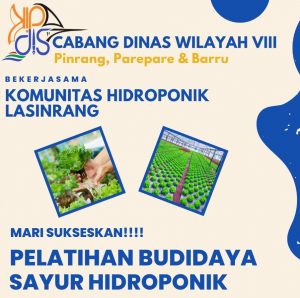 Cabang Dinas Wilayah VIII Sulsel Beri Edukasi Tanaman Sayur Hidroponik bagi SMA di Pinrang
