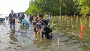 Tahun Ini 20 Ribu Bibit Mangrove Ditanam DKP Sulsel di Pangkep
