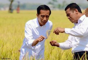 Program AAS Wujudkan Indonesia Lumbung Pangan Diapresiasi
