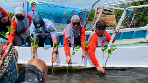 DKP Sulsel Rehabilitasi Ekosistem di 2 Pulau Kecil Takalar