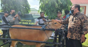 Pemprov Sulsel Bakal Ganti Rugi Hewan Ternak yang Disembelih Akibat PMK