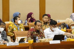 RDP di DPR RI, Gubernur Siap Ambil Alih Lahan Vale untuk Kesejahteraan Rakyat Sulsel