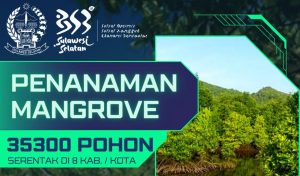 Besok, Gubernur Andi Sudirman Pimpin Penanaman 35.300 Pohon Mangrove
