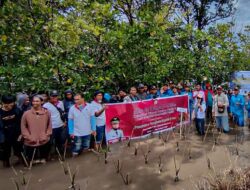 Target 154 Ribu Batang di Wilayah Bosowasi, DKP Sulsel Tanam Mangrove di Desa Polewali Bone