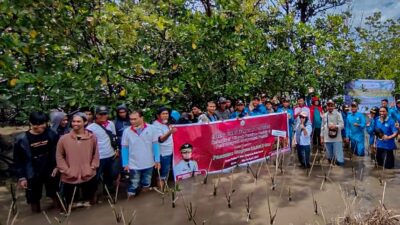 Target 154 Ribu Batang di Wilayah Bosowasi, DKP Sulsel Tanam Mangrove di Desa Polewali Bone