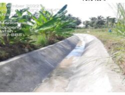 Rehab Irigasi Salobunne Rampung, Gubernur Andi Sudirman Harap Tingkatkan Hasil Pertanian