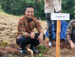 Kembalikan Kejayaan Sutera, Gubernur Andi Sudirman Kembali Tanam 1 Juta Bibit Murbei di Wajo