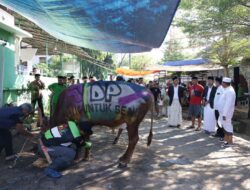 Danny Pomanto Saksikan Pemotongan Hewan Kurban dan Gelar Open House