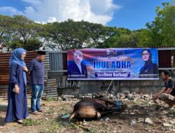 Meriahhkan Idul Adha, Nasdem Makassar Bagikan Daging Hewan Kurban
