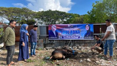 Meriahhkan Idul Adha, Nasdem Makassar Bagikan Daging Hewan Kurban