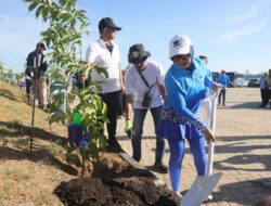 Penanaman Pohon Tabebuya Bakal Ramaikan Giat APEKSI untuk Wujudkan Lingkungan Hijau