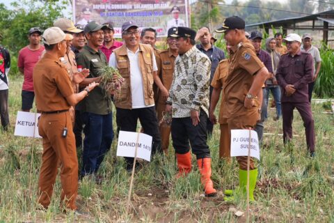 Produksi Bawang Merah Berkurang Karena El Nino, Pemprov Sulsel Bakal Bantu Sumur Bor untuk Petani Enrekang