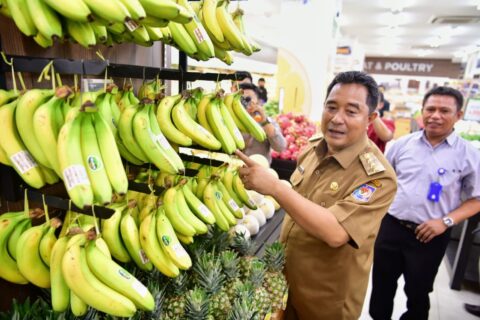 Sulsel Siap Penuhi Kebutuhan Pisang Cavendish Nasional Hingga Ekspor