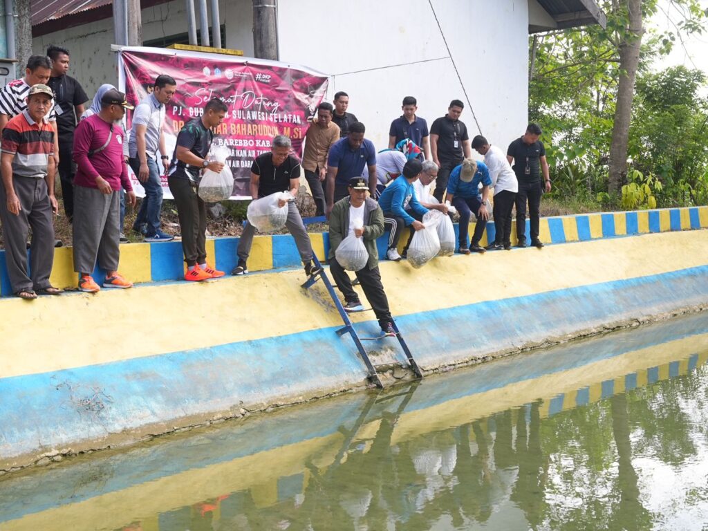 21.000 Benih Ikan Ditebar di Kolam Desa Wollangi, Program Ketahanan Pangan Pj Gubernur Sulsel