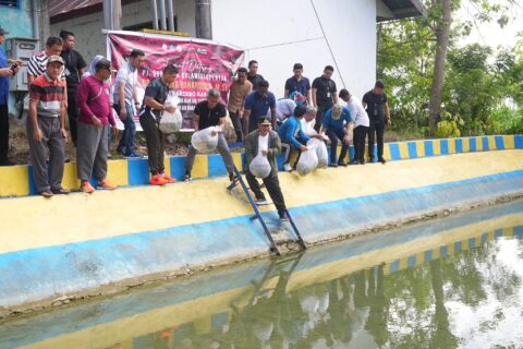 21.000 Benih Ikan Ditebar di Kolam Desa Wollangi, Program Ketahanan Pangan Pj Gubernur Sulsel