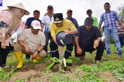 Warga Bantaeng Harap Tanaman Pisang Cavendish Ubah Perekonomian Petani