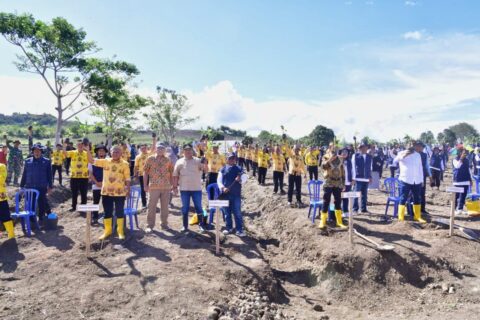Bupati Soppeng Tancap Gas Tanam Pisang Cavendish di Lahan 15 Hektare