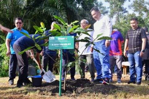 Terima Saran Pj Gubernur Sulsel, PT Vale Akan Tanam Sukun untuk Rehabilitasi Lahan Tambang