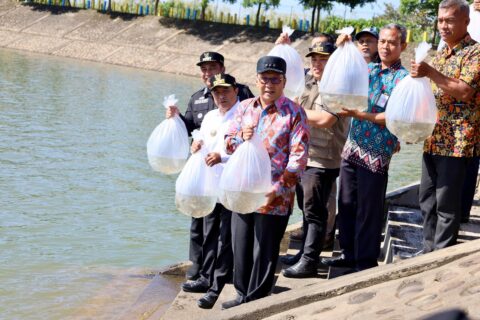 Danny Pomanto Ikut Lepas Puluhan Ribu Benih Ikan Air Tawar di Waduk Nipa-Nipa